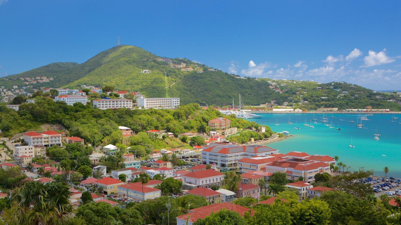 St. Thomas Secures Approval for Exciting Move to Division I!