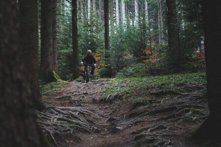 Quebec Mega Trail and Défi des Couleurs Set to Host Thrilling Canadian Mountain and Trail Running Championships!