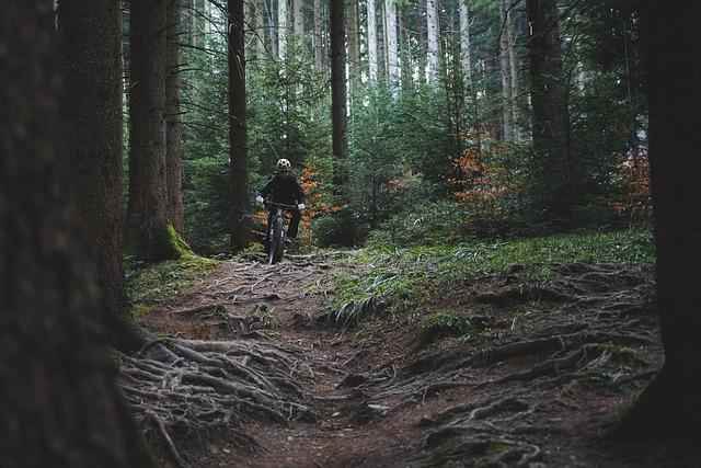 Quebec Mega Trail and Défi des Couleurs Set to Host Thrilling Canadian Mountain and Trail Running Championships!