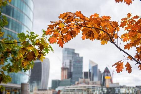 London Sets Its Sights on Hosting the 2029 World Athletics Championships!