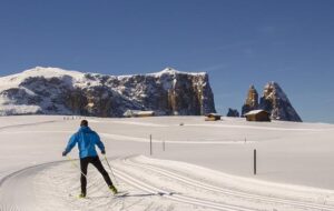 Race development and performance-determining factors in a mass-start cross-country skiing competition – Frontiers