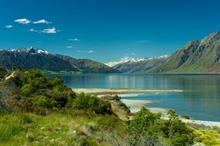 Get Ready for the Thrill: 2025 New Zealand Short Trail Championships!