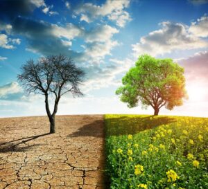 From Competitors to Champions: How Climate Change is Inspiring Athletes to Become Advocates