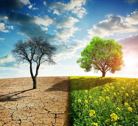 From Competitors to Champions: How Climate Change is Inspiring Athletes to Become Advocates