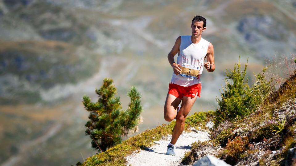 Fueling the Finish: Insights into the Nutrition Strategies of Ultra-Endurance Runners During a 24-Hour Challenge