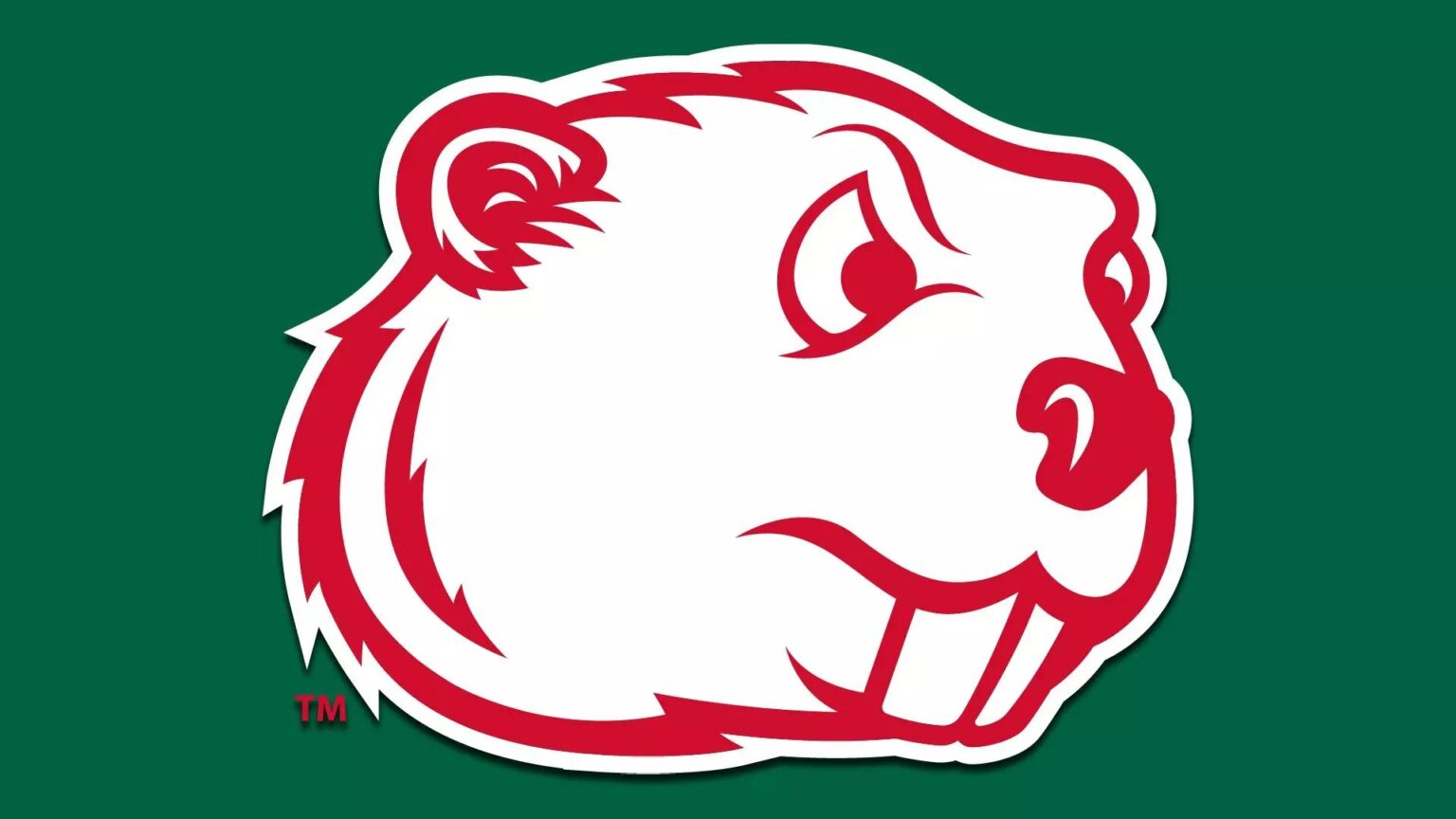 Minot State Athletics Ranks 13th in NSIC All-Sports Standings: A Season of Growth and Challenge