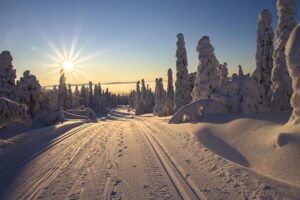Cross Country – Coastal Athletic Association (CAA