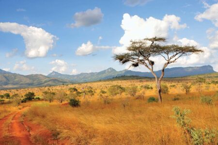 Kenya’s Men’s 4×400 Team Fights to Keep World Relay Dreams Alive!