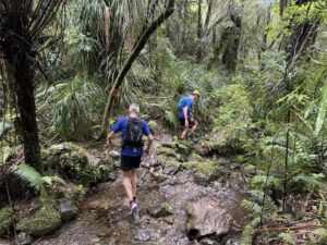 Unleash Your Limits: The 2025 New Zealand Long Course Trail Championships & 100k WAI2k Ultra Awaits!