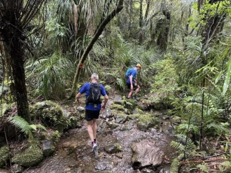 Unleash Your Limits: The 2025 New Zealand Long Course Trail Championships & 100k WAI2k Ultra Awaits!