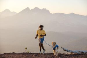 Watch These Incredible Trail-Running Dogs Conquer Mountain Bike Tracks in an Adorable Adventure!