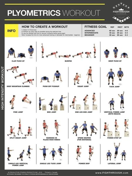 Meta-analysis of the effect of plyometric training on the athletic performance of youth basketball players – Frontiers