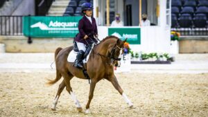 Meet the Inspiring Para Equestrian Paralympic Athletes: Stunning Photos and Thrilling Events
