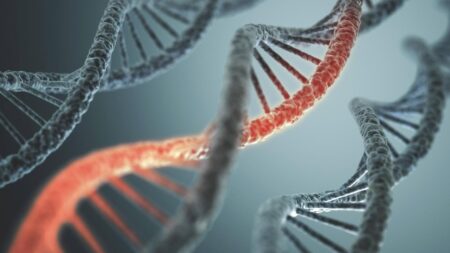 World Athletics Launches Gene Testing to Redefine Female Category Eligibility