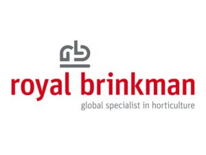 Brinkman’s Meteoric Rise to European Medal Signals the Start of an Incredible Journey
