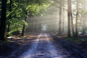 Trailblazing Triumph: The Woman Revolutionizing Trail Running