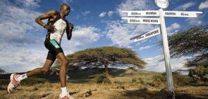 Kenyan Runners Sweep European Road Races with Stunning Weekend Podium Victories