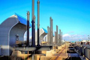 Cardiff Gears Up to Host Thrilling World Athletics Cross Country Tour Event