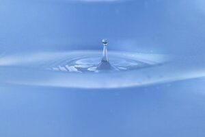 School’s Out: Gout Gout’s Jaw-Dropping Victory Lap Stuns Everyone