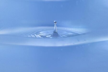 School’s Out: Gout Gout’s Jaw-Dropping Victory Lap Stuns Everyone