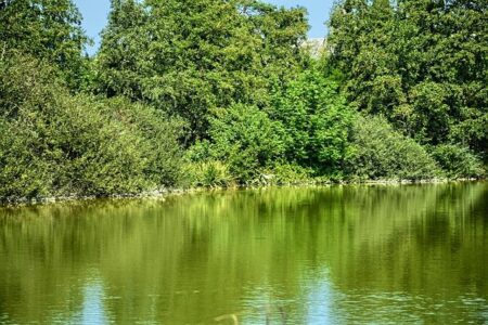 Villars Gears Up to Host the Thrilling 2028 European Trail Running Championships