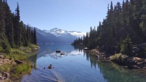 8 Surprising Insights That Will Change the Way You See Trail Running
