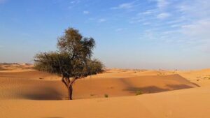 Abu Dhabi Marathon Achieves Coveted Gold Label Road Race Status