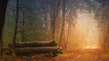 Golden Trail World Series Unveils Thrilling 2026 Race Lineup