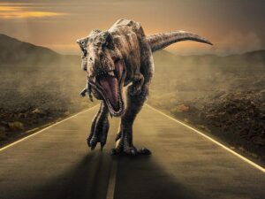 Why South Africa Can’t Get Enough of Road Running