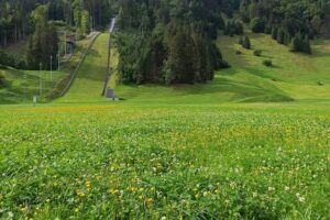 From Ski Jumping to Speedskating: Feel the Thrill of Physics in Action