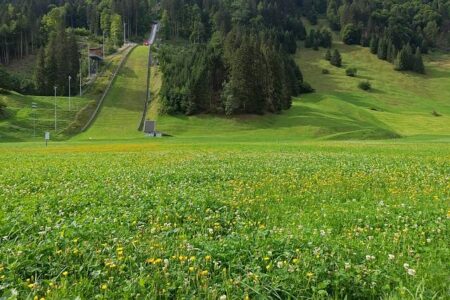 From Ski Jumping to Speedskating: Feel the Thrill of Physics in Action