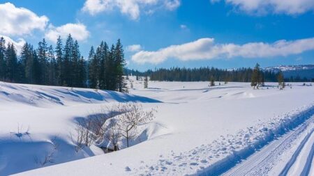 IOC Excludes ‘Crossover’ Sports Like Cross-Country and Cyclocross from 2030 Winter Olympics