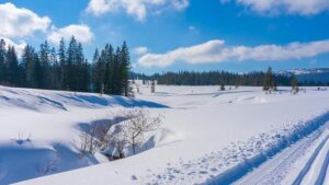 Lindsays Cross Country Season 2025-26: Exciting Key Dates and Venues Unveiled
