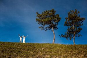 How Terrain Transforms Running Power and Biomechanics: Lessons from Elite Trail Runners
