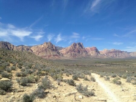 High Country Running: Exciting Stagecoach Line Races Thrill the Canyon Trail