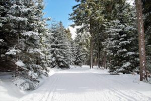 Meet the Newly Nominated Athletes for the 2026-27 U.S. Cross Country Ski Team!