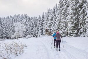 Could Cross-Country Skiing Make a Triumphant Olympic Comeback?