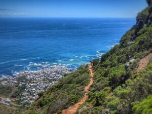 Uncover the Exciting Growth of Branded City-to-Trail Running Programs
