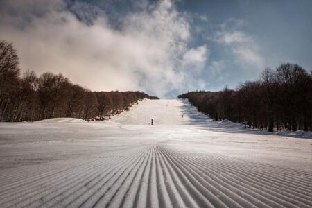 Olympic Skier Ditches Poles and Disappears into the Woods Just Seconds from Victory