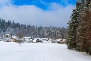 Cross-Country Running and Cyclocross Set to Make Exciting Debut at the 2030 Winter Olympics