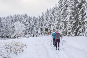 Dive into the Exciting World of Para Cross-Country Skiing: Rules and Amazing Facts Revealed