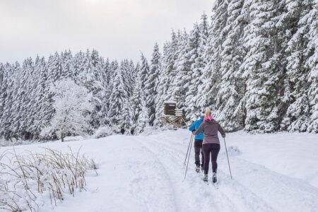 Dive into the Exciting World of Para Cross-Country Skiing: Rules and Amazing Facts Revealed